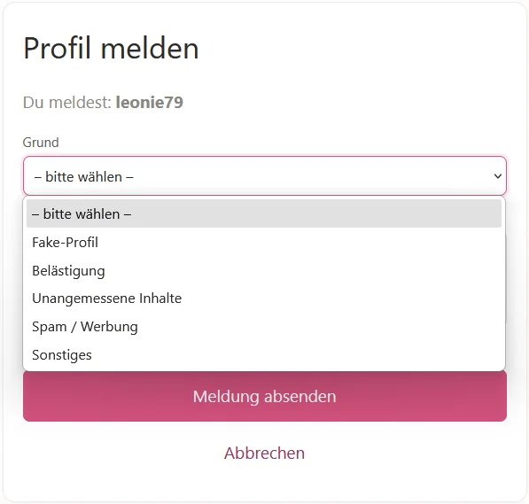 Das Formular Profil melden mit der Auswahl des Grundes: Fake-Profil, Belästigung, Unangemessene Inhalte, Spam oder Werbung, Sonstiges